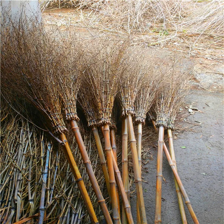Bamboo Broom (35)