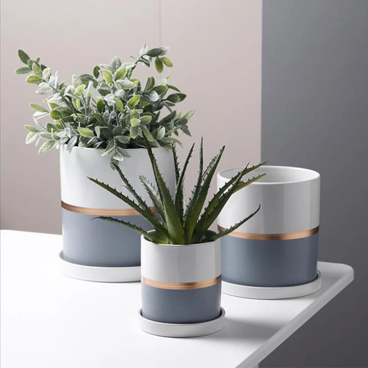 

2021 Nordic straight gold line light luxury belt white tray fleshy green plant tiger skin mint Gardenia Ceramic flowerpot