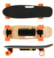 

Classic Design Electric Skateboard/Electric Longboard