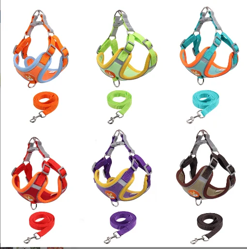 

Bunny 2021 High quality New arrival Wholesale pet harnesses leashes dog leash, Photo