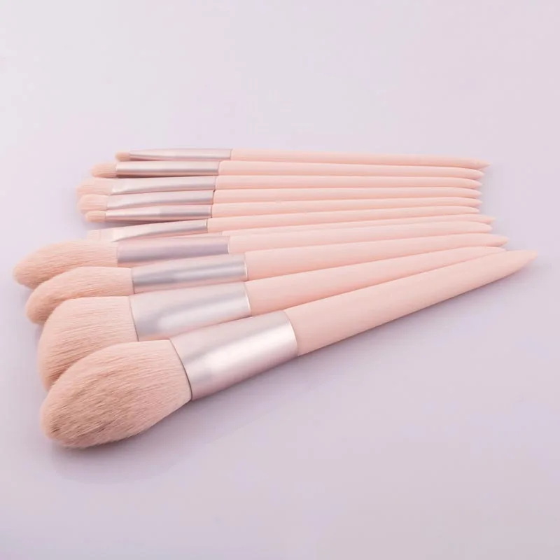 

Profession Makeup Brushes Tool Set 12pcs Cosmetic Powder Eye Shadow Foundation Blush Blending Beauty Make Up Brush, Blue and pink