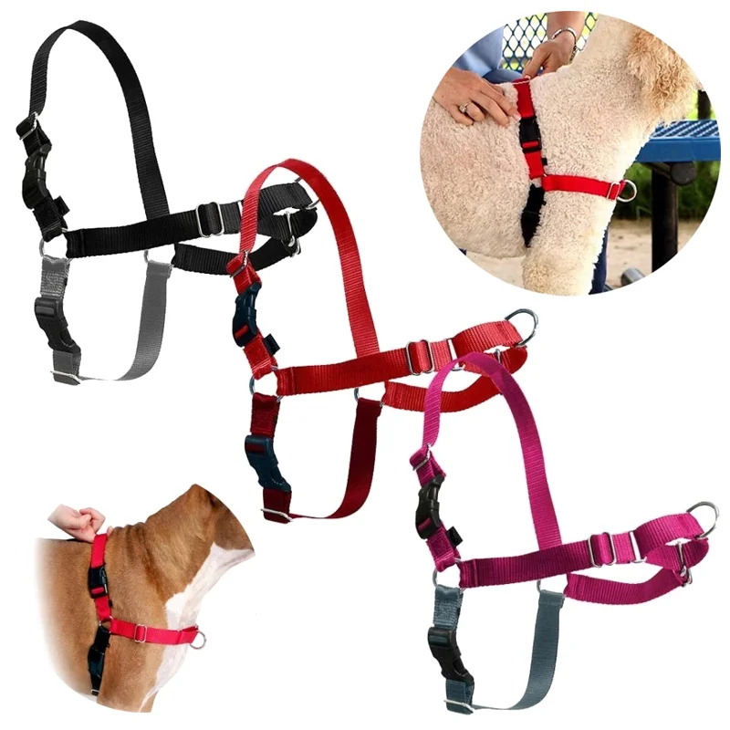 Martingale Harness For Small Dogs at Josephine Delacruz blog