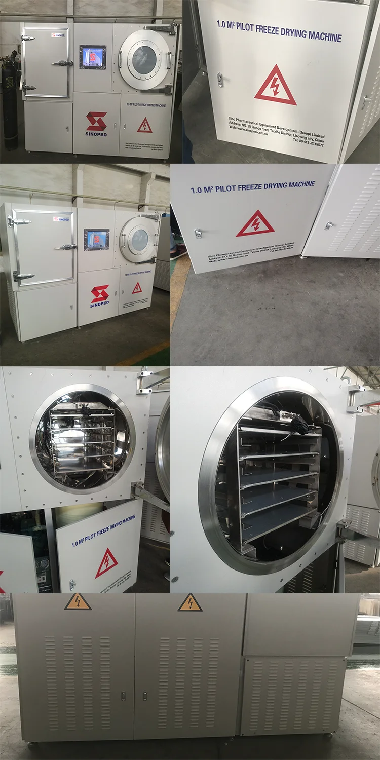 vacuum freezing drying