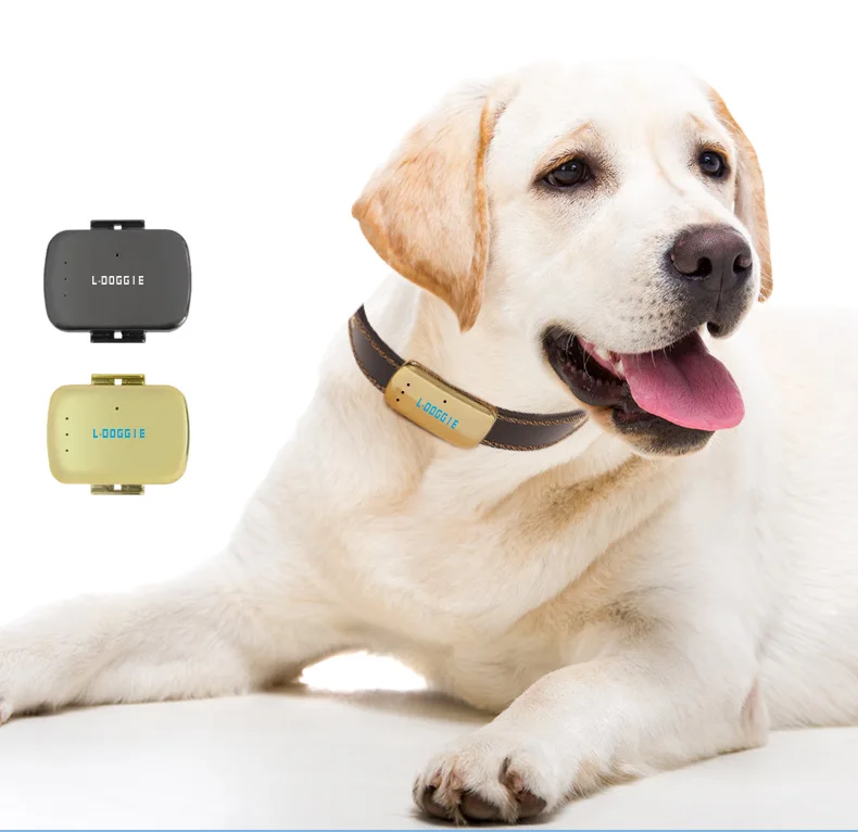 

Pet GPS Tracker Dog Mini GPS Tracking Chip Collars Pet Locator With App Other Pet Products, Picture