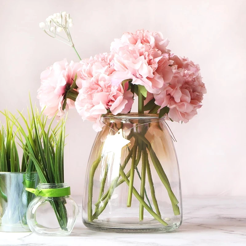 
Home nature colors planting inside with elegant transparent stylish glass vases 