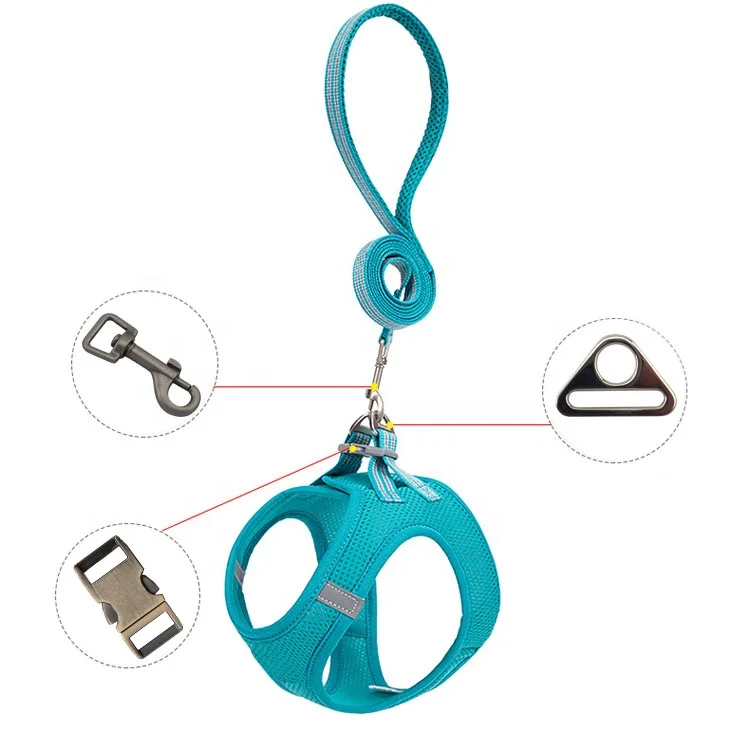 

Hot sale dog leash snap hook metal swivel clip hook dog collar d ring buckle for bag handbags luggage pets