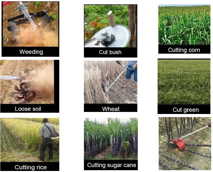 CG430 TU brush cutter (9)