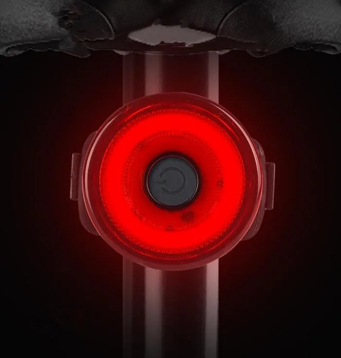 

High Brightness LED Mountain Bicycle Rear Light USB Rechargeable Waterproof Bike Tail Warning Light, Red, white