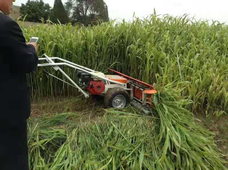 Wheat/rice/maize Reaper/harvester With Tractor Buy Small Reaper Machine Price,Mini Reaper