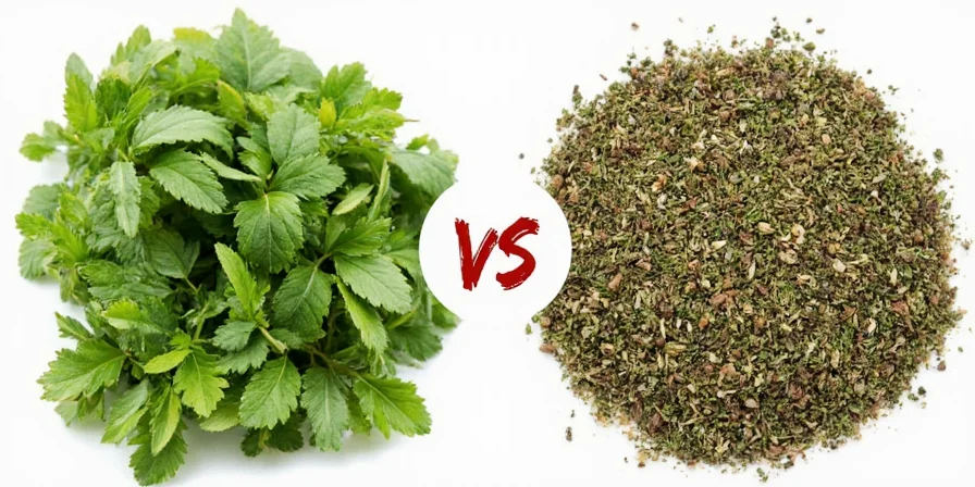 Mexican oregano and regular oregano plants side by side