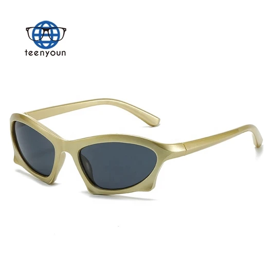 

Teenyoun Hip Hoptrendy Sunglasses 2023 New Irregular Steampunk Eyewear Outdoor Sports Gafas De Sol Retro Geometric