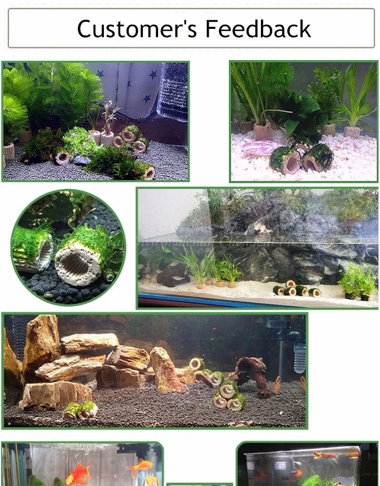 Bio Ceramic Rings Aquarium Bacteria House For Aquarium Fish Tank