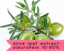 5 olive leaf extract.jpg
