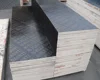 12mm 15mm 18mm Forwork plywood named film faced plywood for Sri Lanka construction