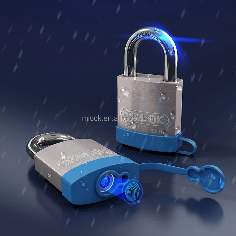 

USB Outdoor Brass Fingerprint Pad lock/Smart Keyless Padlock