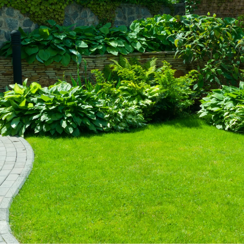 

cheap artificial turf artificial grass for wall