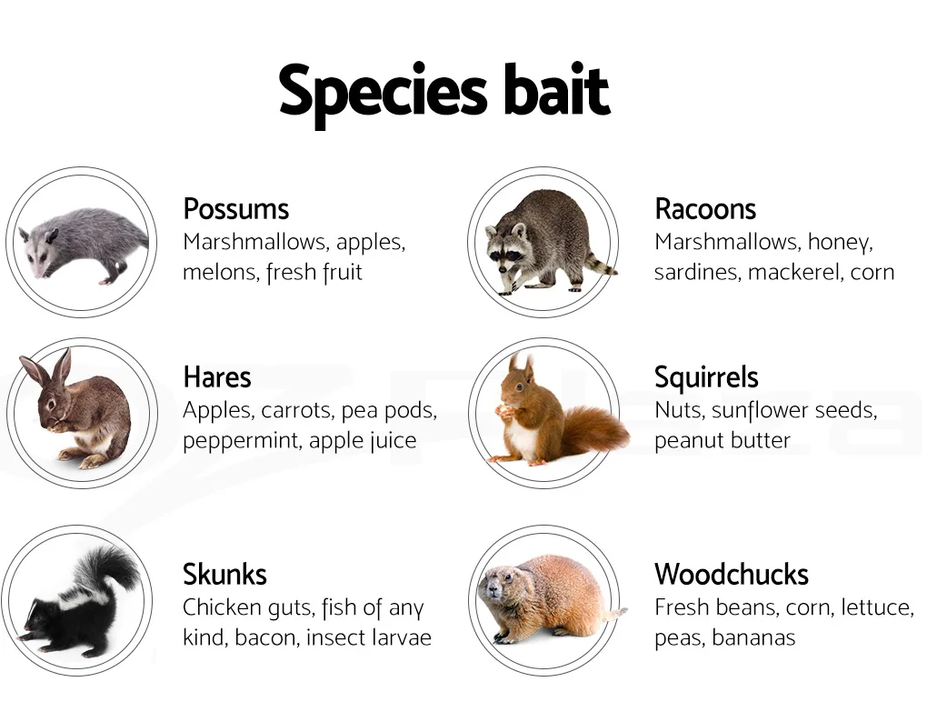 Animal Traps 11.png