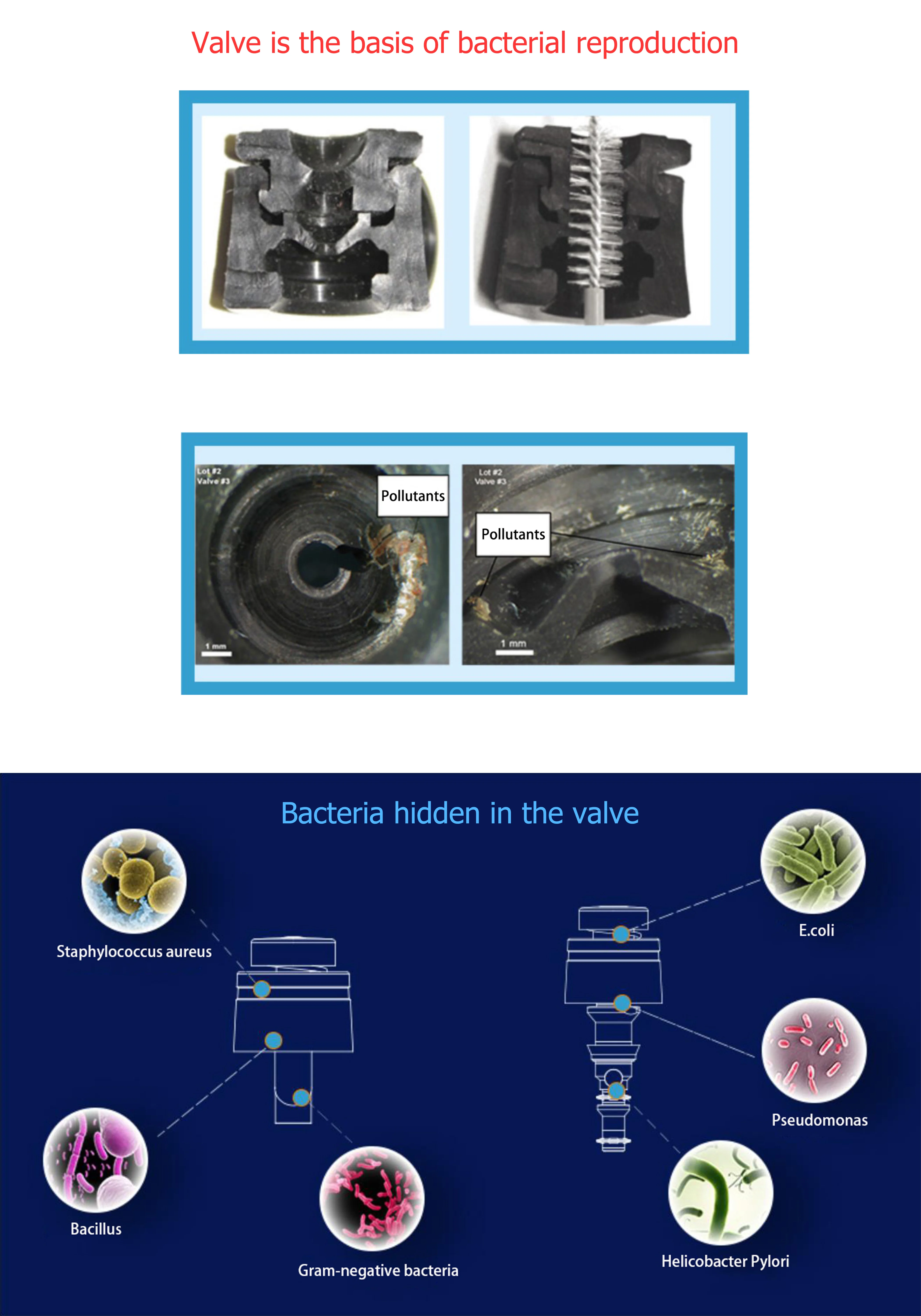 Single Use Suction Valves Air/water Valves Biopsy Valves For Endoscope ...