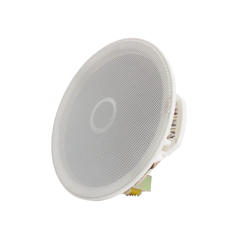 

Background 70V-110V Ceiling Speaker Wall Coaxial Speaker
