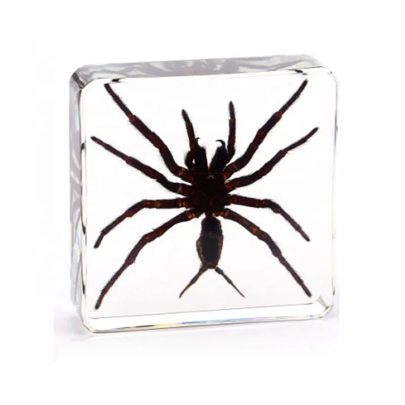 russian по низкой цене! russian с фотографиями, картинки на реальных