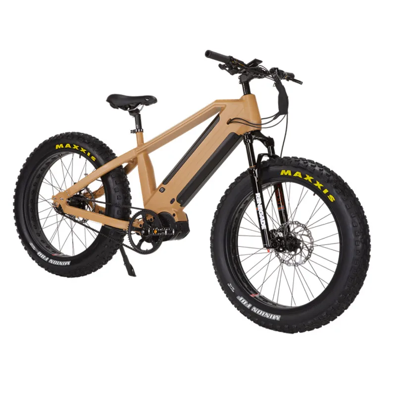 

Belt Drive Dual Batteries Bafang Ultra motor ebike, electric bicycle,electric bike made in china