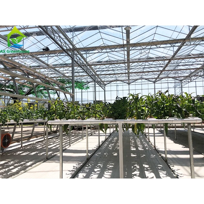 

New type glass greenhouse with high-tech commercial aquaponics growing set system