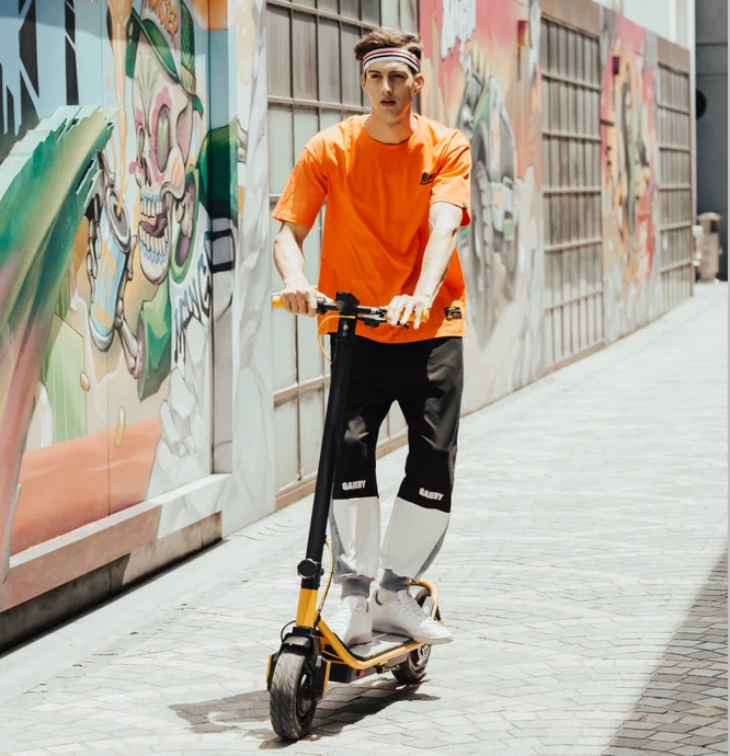 

2020 new 25kmh electric scooter with Rear disk brake, Black