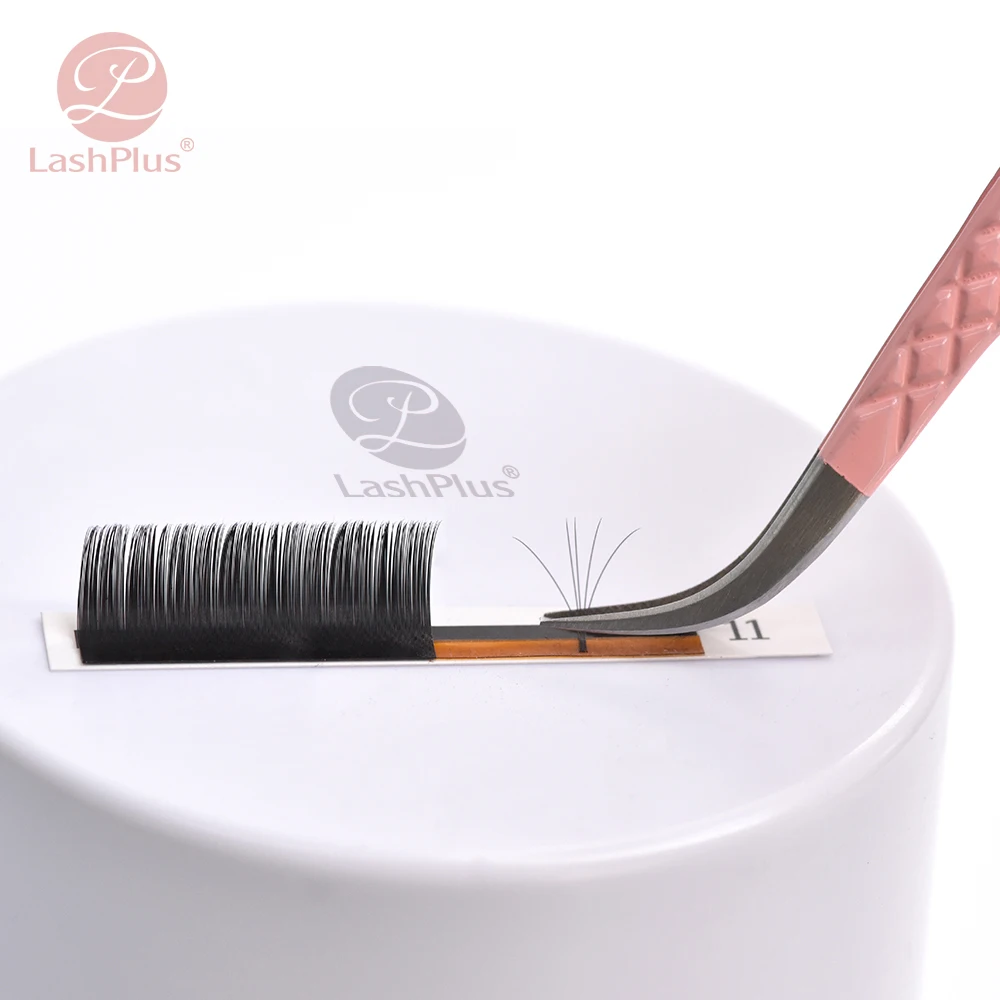 

LashPlus Individual Volume Eyelash C& D curly Eyelash Extension 100% mink lashes only C D CURL Lash Extensions Tray