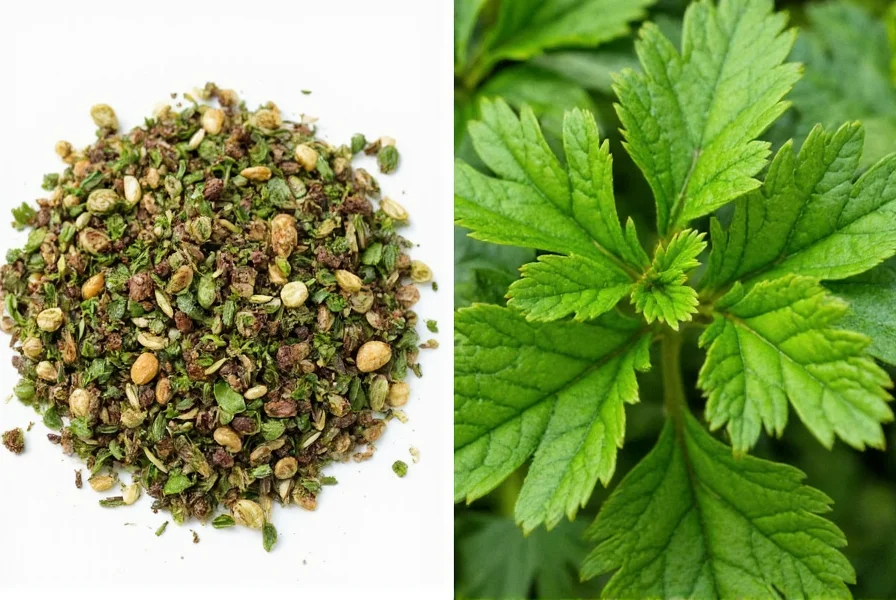 Reviving parsley in water glass
