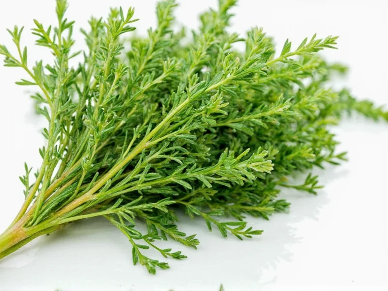 Best Thyme Substitutes: 8 Perfect Alternatives for Cooking