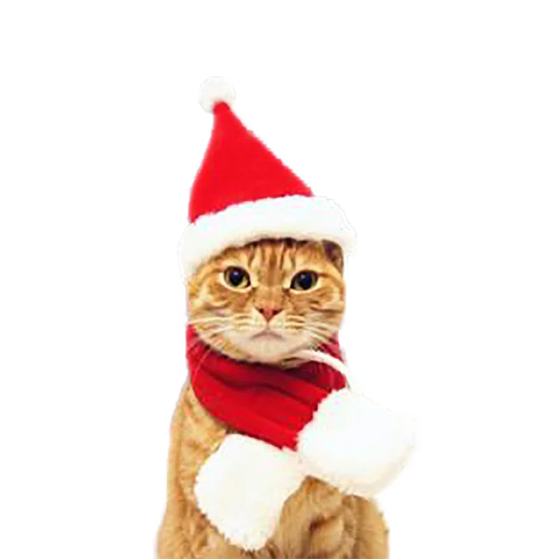 

Hot sale holiday cat and dog clothes red dog clothes christmas pet christmas clothes