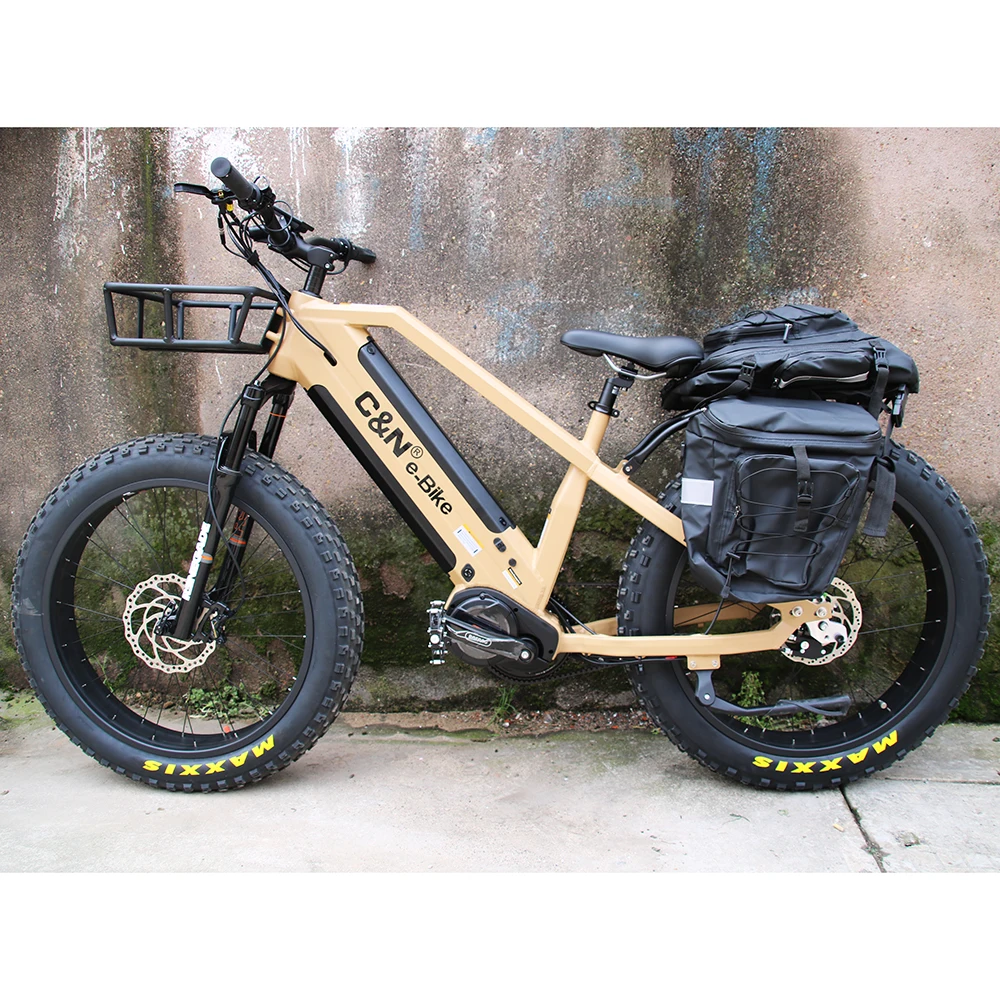 

Rohloff Internal geared 14 speeds hub dual battery fat ebike 1000w 48v 1000w belt drive fat tire pedal assist electric bike
