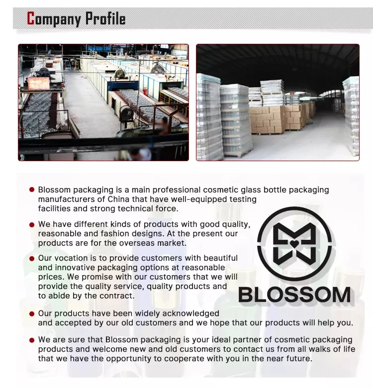 (3)company information.jpg