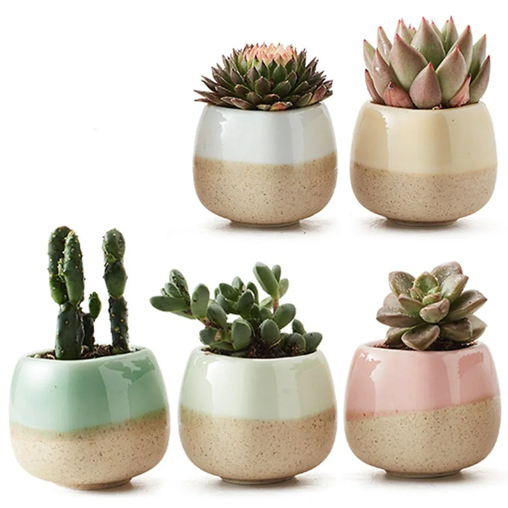 

Pack of 5 Small Planter Ceramic Five Color Base Serial Set Flower Pot Succulent Plant Pot