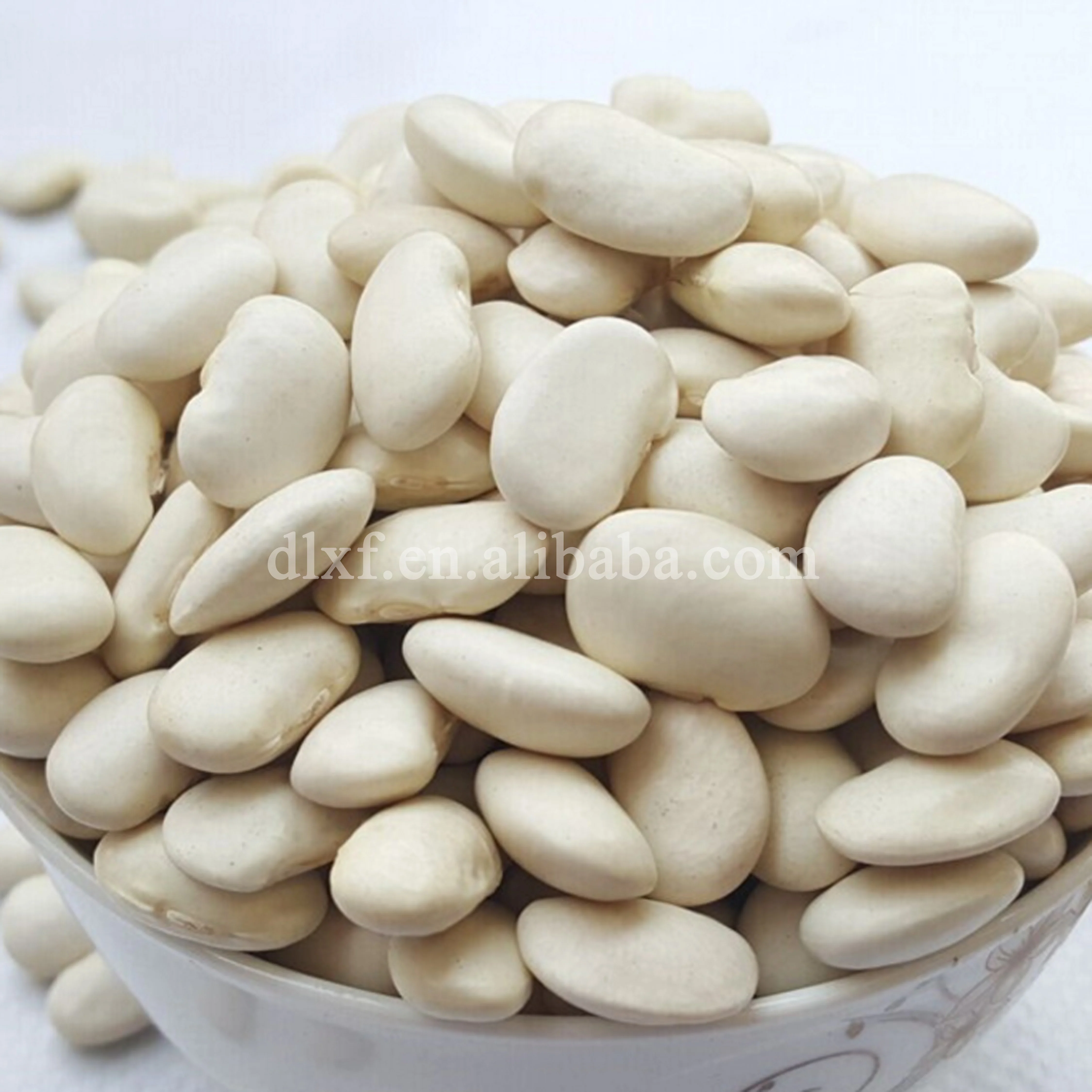 
China white Kidney bean/Japanese non gmo or organic  (379760376)