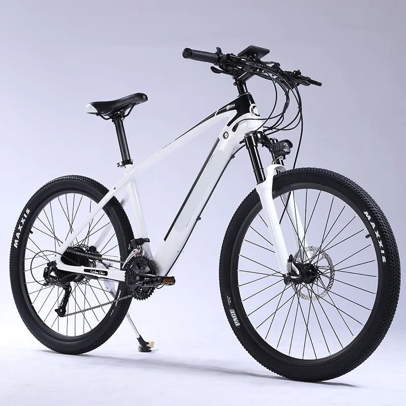

Hot sale fat tire lithium battery bicycle power electric bicycle 26 INCH /MTB