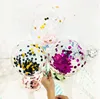 transparent bobo balloon with shing spot with different color