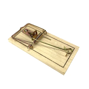 Image of Wooden Mouse Rat Traps Version Strongly Adhesive For Mouse Killer with cheap price
