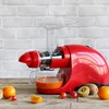 Smart Profession Wheatgrass Horizontal fruit and vegetable healthy pure cold press fruit slow juicer extractor