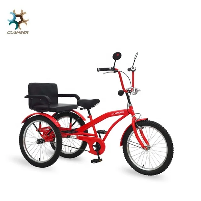 2 seater tricycle for toddlers