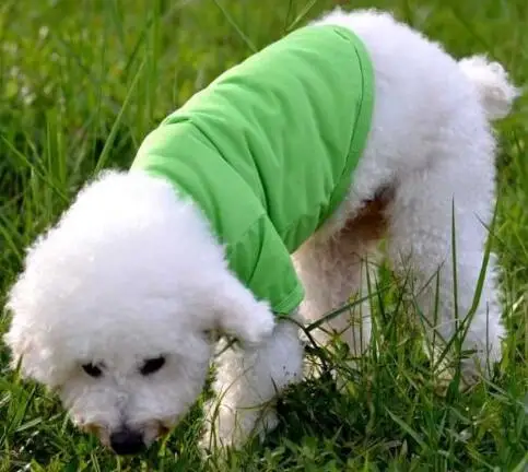 

WIIPU Pet Dog Apparel Clothes Soft Polo Shirt Puppy T-Shirt Cat Costume XS-XL