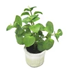 Miniature artistic artificial mint with cross clay pot home table bush small artificial bonsai leaves vase flower pots flower