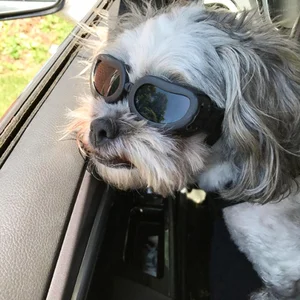 Image of Durable Puppy Cat Sunglasses UV Protect Sunglasses Fashion Dog Goggles Pet Accessories