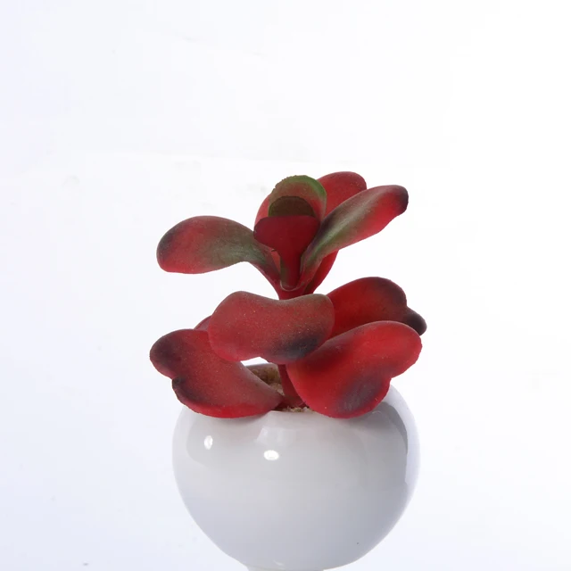 

White ceramic potted artificial plastic small succulent plants outdoor plants, Green;red brown