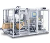 Full Automatic Carton case Packer