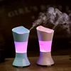 100ml Essential Oil Diffuser, Mini Humidifier, Flower Arrangement 3 in 1 Aroma Diffuser with Beautiful LED Night Light