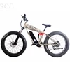 EN15194 3 wheel electric bicycle/EN15194 mountain electric bike A6/EURO electric bike