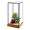 Black Tabletop Rectangular Copper Finished Glass Display Case Terrarium with Wood Base For Office Decor Home Decor