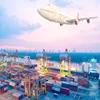 air cargo from china to paraguay dog transport box express service to czekh