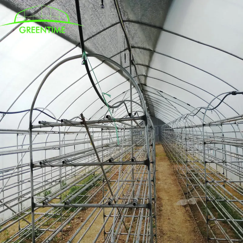 
Agricultural Mushroom Green House For Sale 